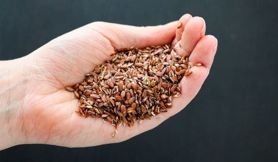 How to absorb nutrients faster via @everythingabode