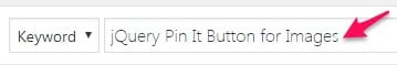 Adding a customized pin it button to your blog www.Everythingabode.com - search plugin