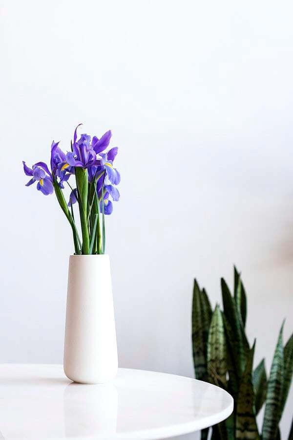 16 Everyday Habits For A Cleaner Home - Everything Abode