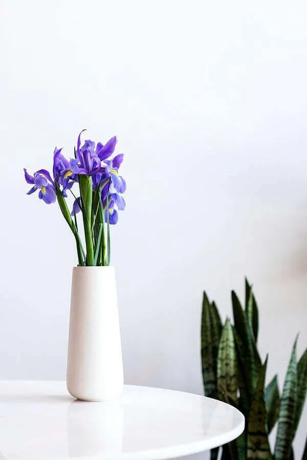 16 Everyday Habits For A Cleaner Home - Everything Abode