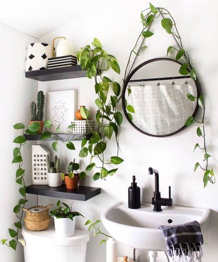 Plants are a boho's best friend