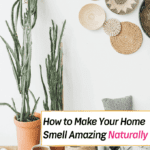 8 Natural Ways to Make Your Home Smell Amazing -- Everything Abode