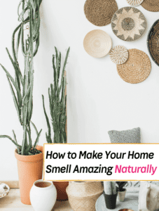 8 Natural Ways to Make Your Home Smell Amazing -- Everything Abode