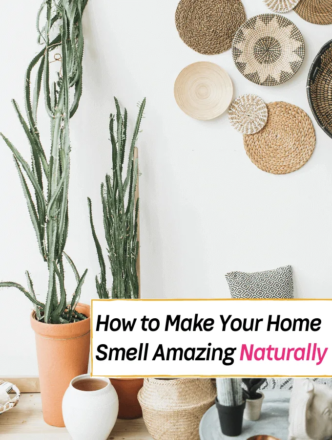 8 Natural Ways to Make Your Home Smell Amazing -- Everything Abode