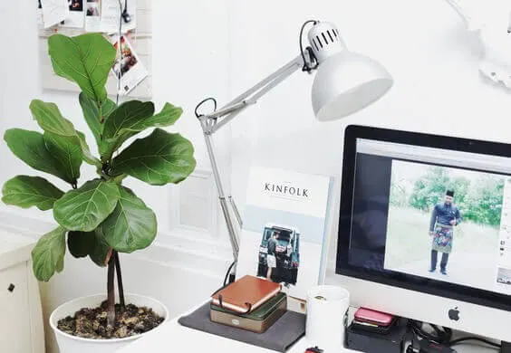 Buy Some Plants if you work from home via @everythingabode