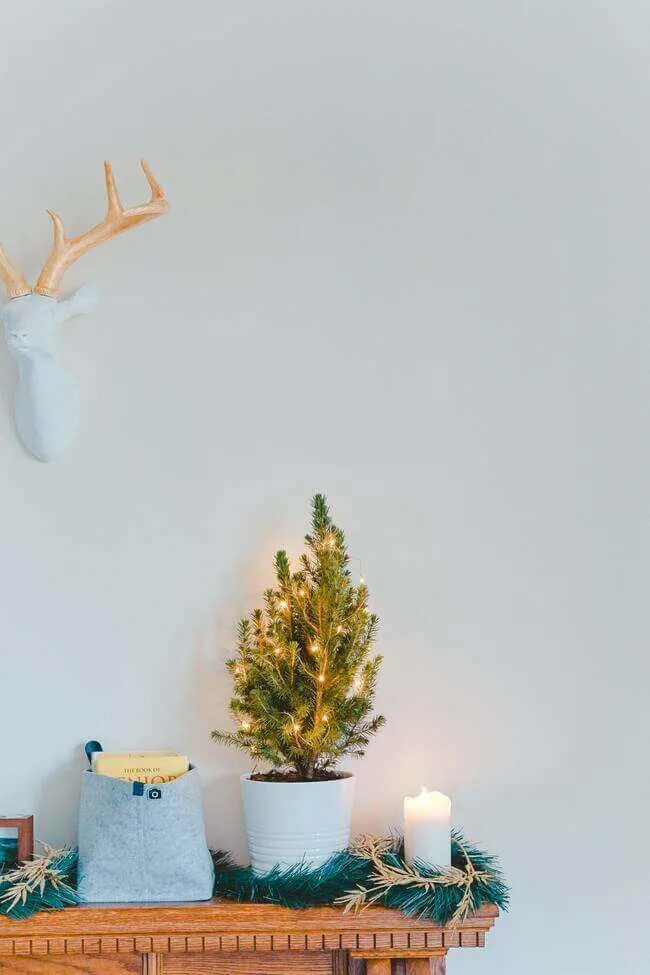 9 Ways To Survive Holiday Shopping On A Budget This Year