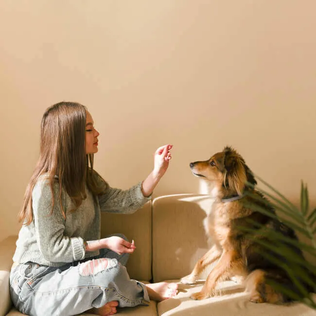 Self care home ideas - Pet or cuddle an animal or play with your pet. dog-home-training-lessons-pet