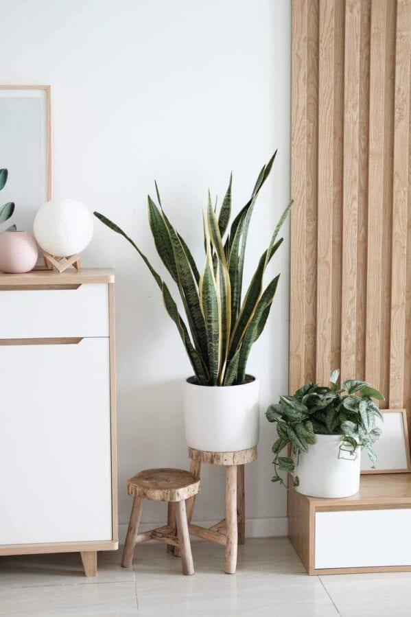 7 Ways to Make Your Home Feel More Relaxing - Everything Abode