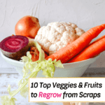 10 Best Veggies, Fruits & Herbs to Regrow from Kitchen Scraps - Everything Abode