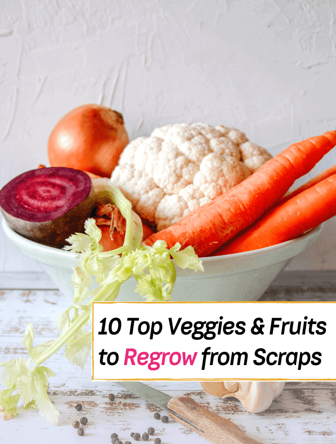 10 Best Veggies, Fruits & Herbs to Regrow from Kitchen Scraps - Everything Abode