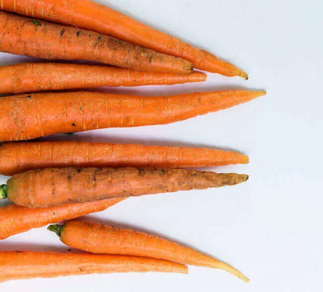 Grow Carrot tips for salads from scraps - Everything Abode