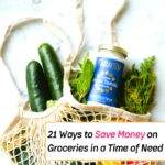 21 Ways to Save Big on Groceries in a Time of Need - Everything Abode