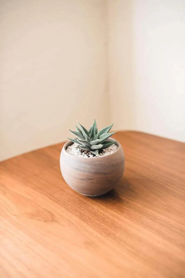 Embrace Clear Surfaces so you can have a clear mind.