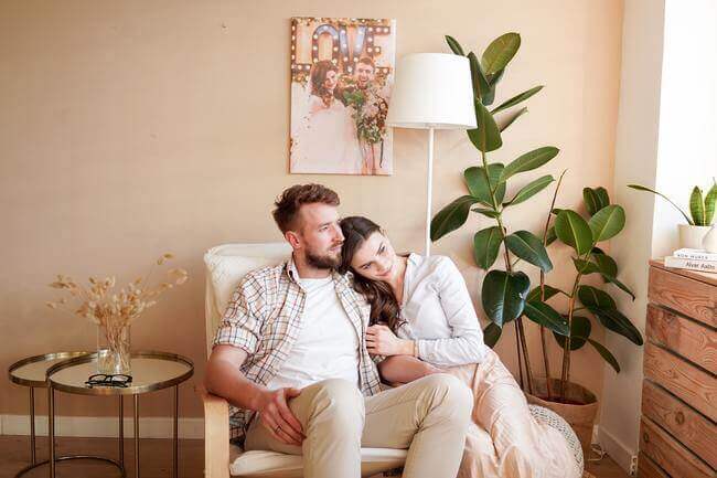 lucky houseplants - partnership - Everything Abode