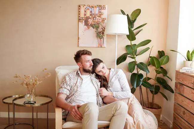 lucky houseplants - partnership - Everything Abode