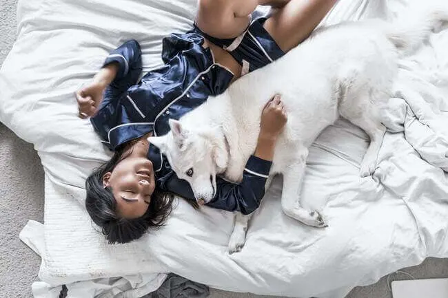 Are You More Than Tired? Here Are 8 Guaranteed Fatigue-Fighting Habits!