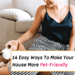 14 Easy Ways to Keep Your House Chic & Pet-Friendly