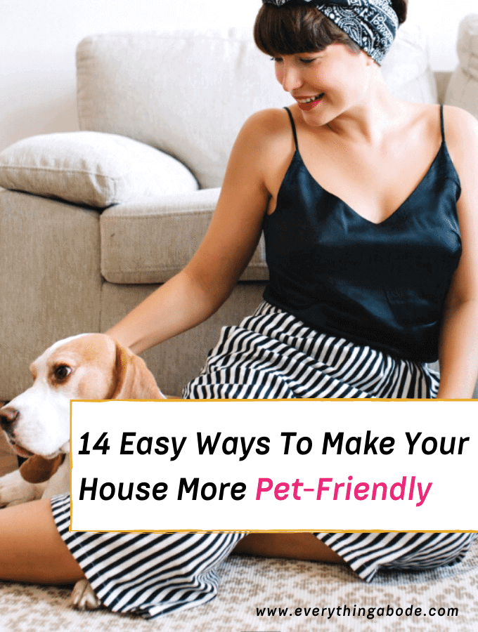 pet friendly rugs, sofa pet friendly, pet friendly houseplants