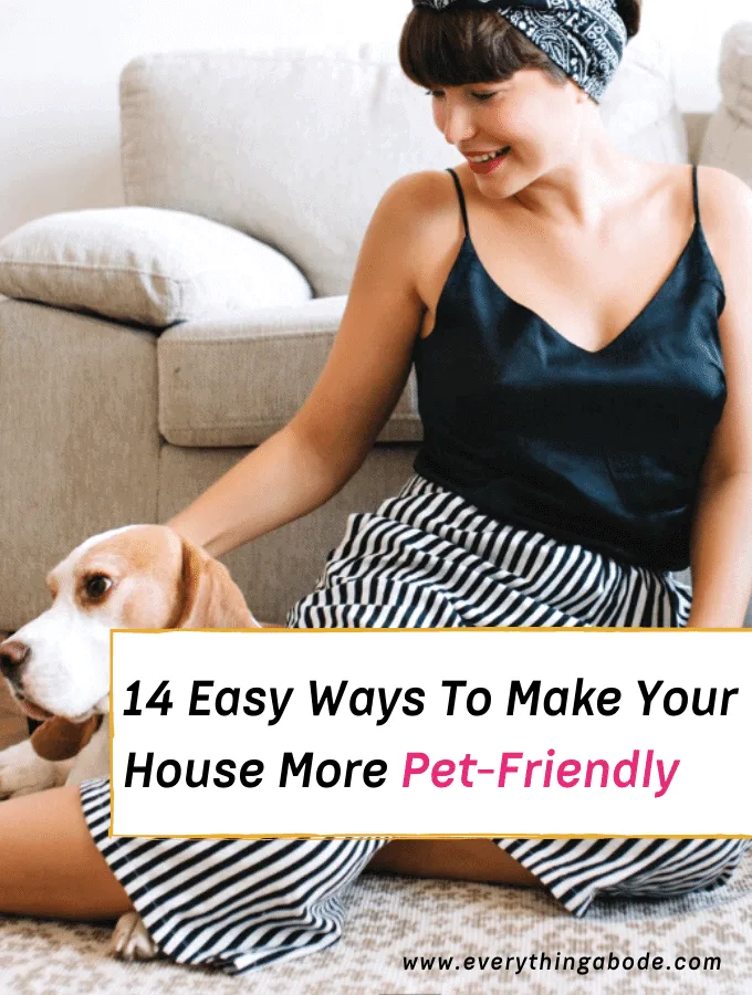 14 Easy Ways to Keep Your House Chic & Pet-Friendly
