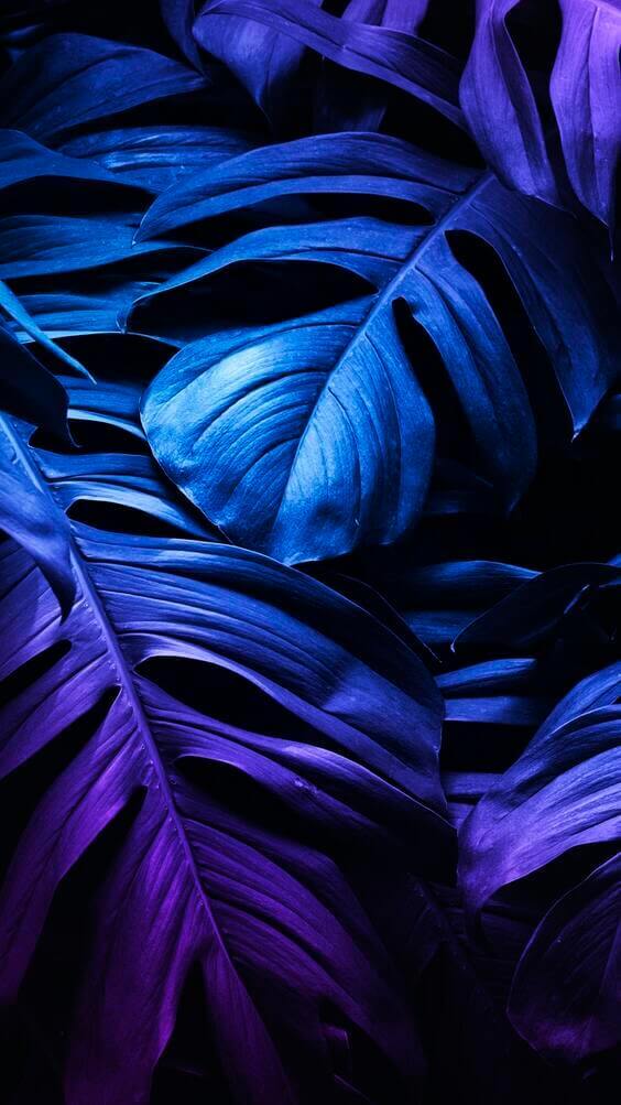 Neon leaf mobile screen wallpaper, dark black blue wallpaper, leaves wallpaper