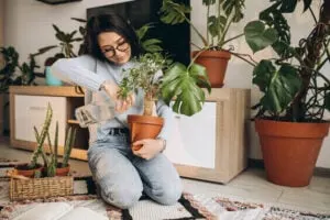 women planting plants in her living room as her fun indoor hobby