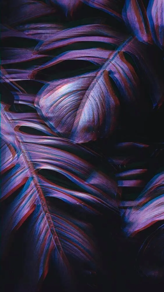 trippy wallpaper, neon purple wallpaper, dark black wallpaper