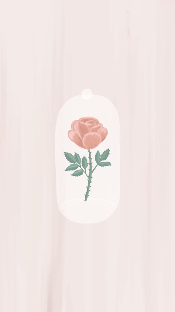 cute pink rose phone background