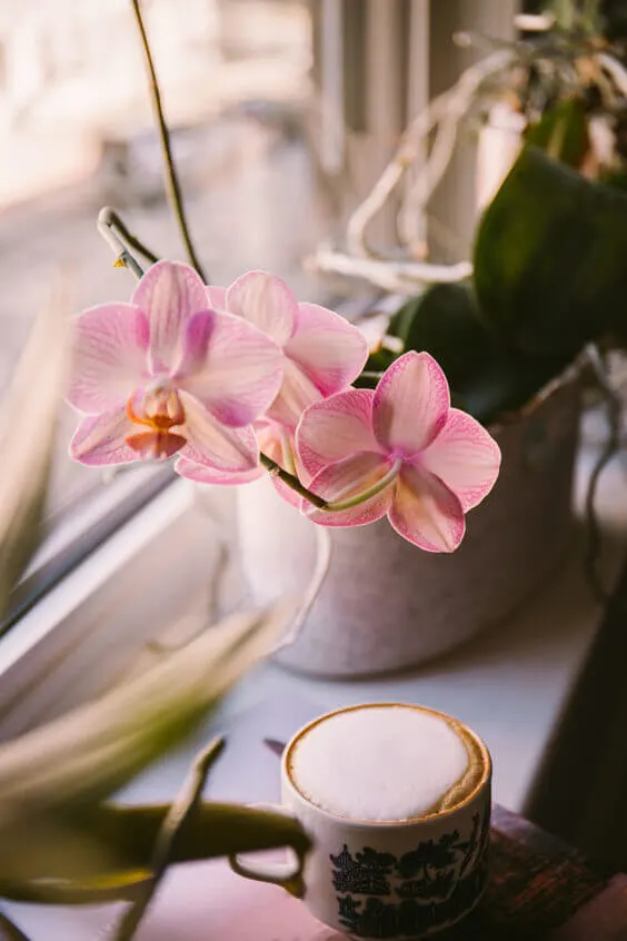 place fresh flowers in your home to make it smell fresh like spring
