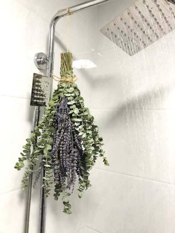 use eucalyptus in the shower to make your bathroom smell good