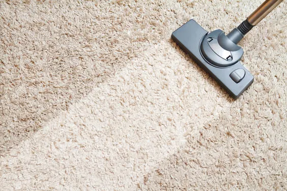 vacuum to keep your home smelling great