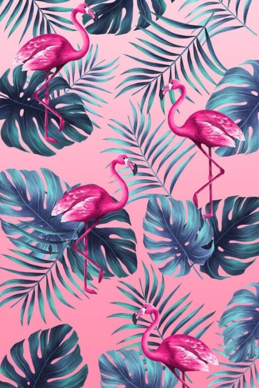 75 Tropical Wallpapers Free For Your Mobile Phone - Everything Abode