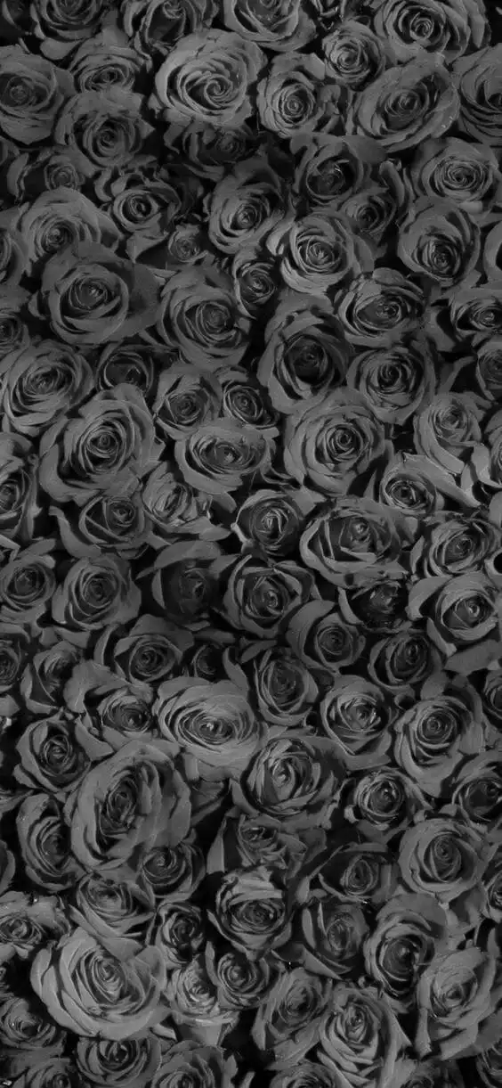 Dark bed of roses mobile wallpaper