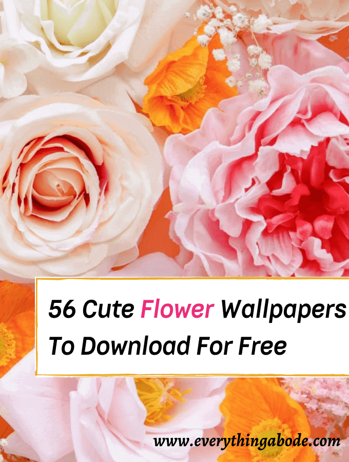 56 Aesthetic Flower Wallpapers For iPhone (HD & Free!) - Everything Abode