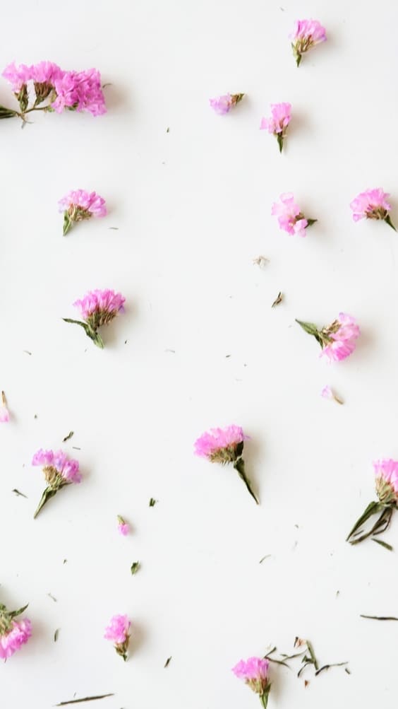 scattered pink wildflowers on white background wallpaper.