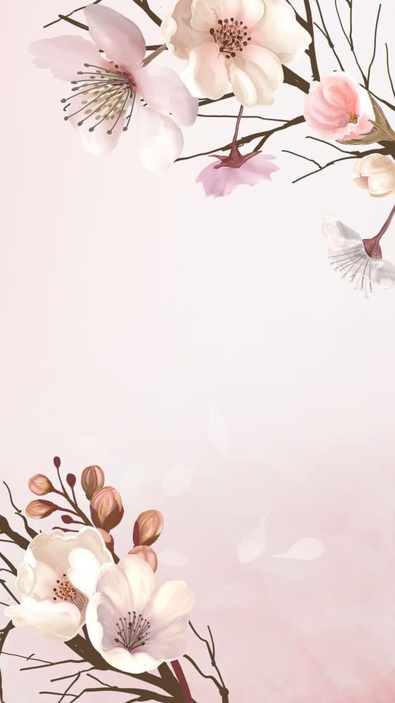 Elegant white flowers on a soft pink background wallpaper.