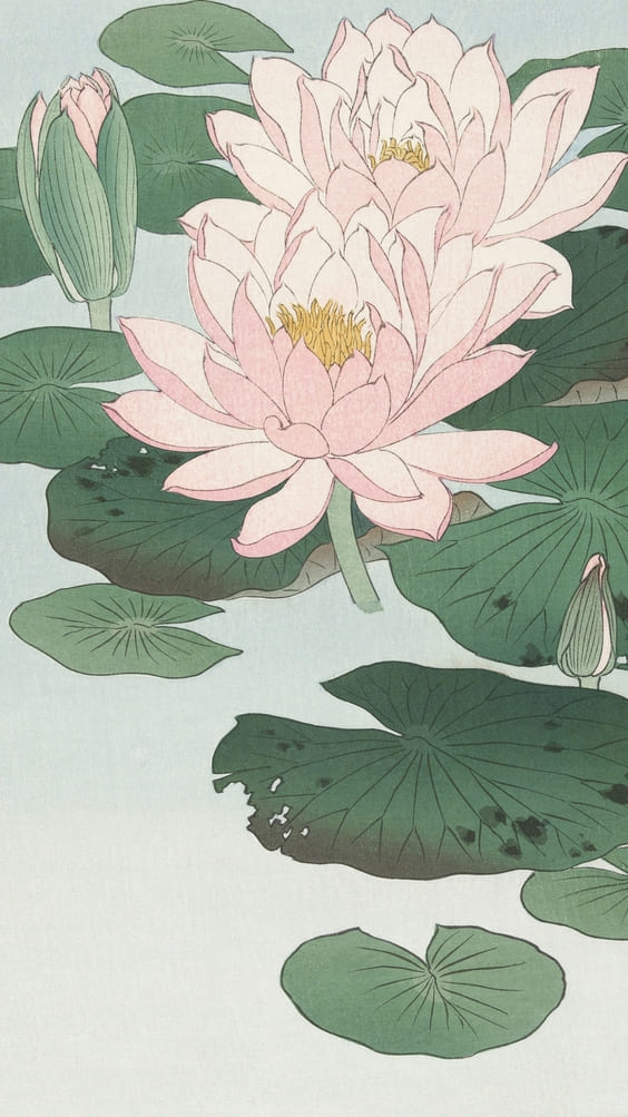 pink and green flower petals sketch art wallpaper.