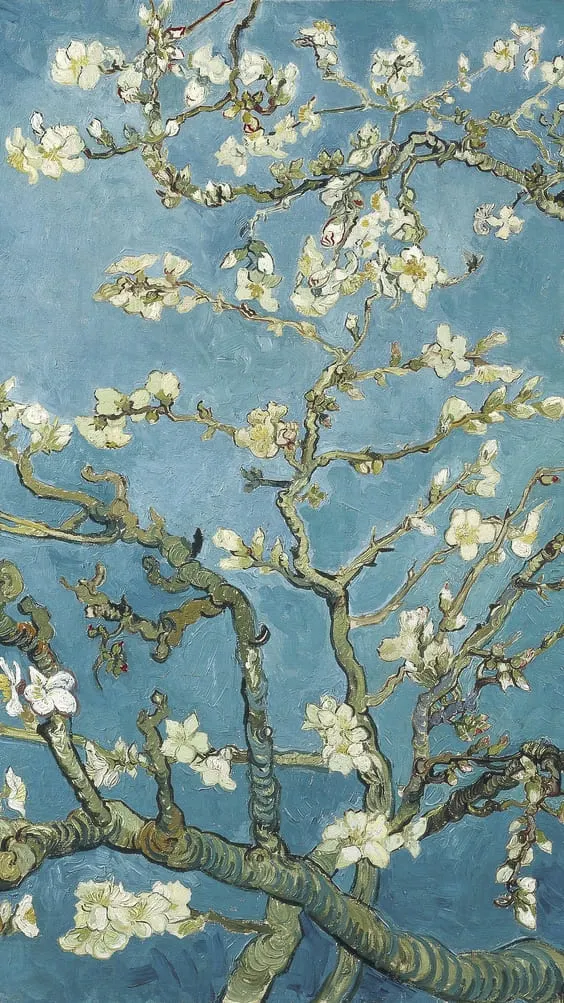 white flower tree blossoms with a blue sky background.