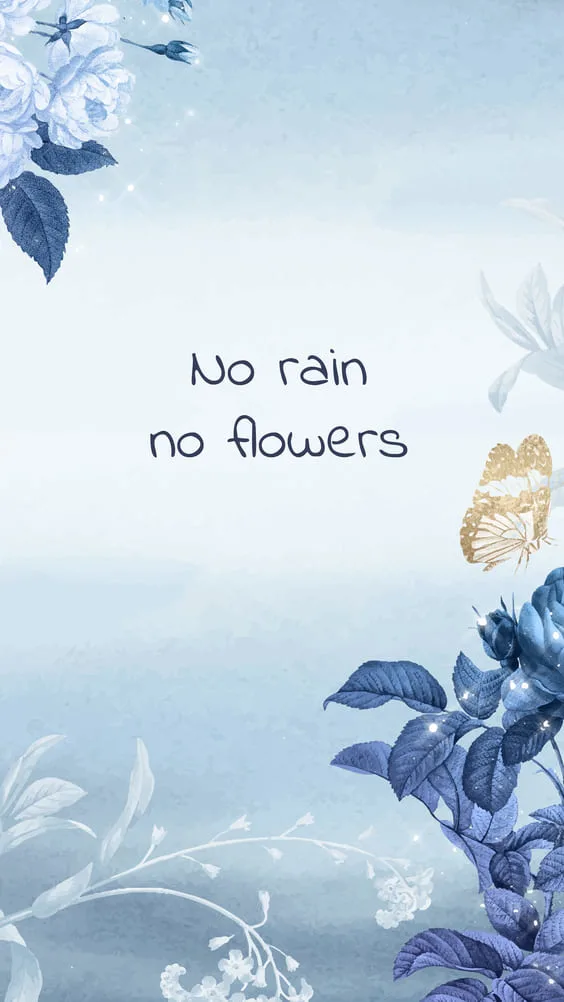 "no rain no flowers" blue background quote flower wallpaper.