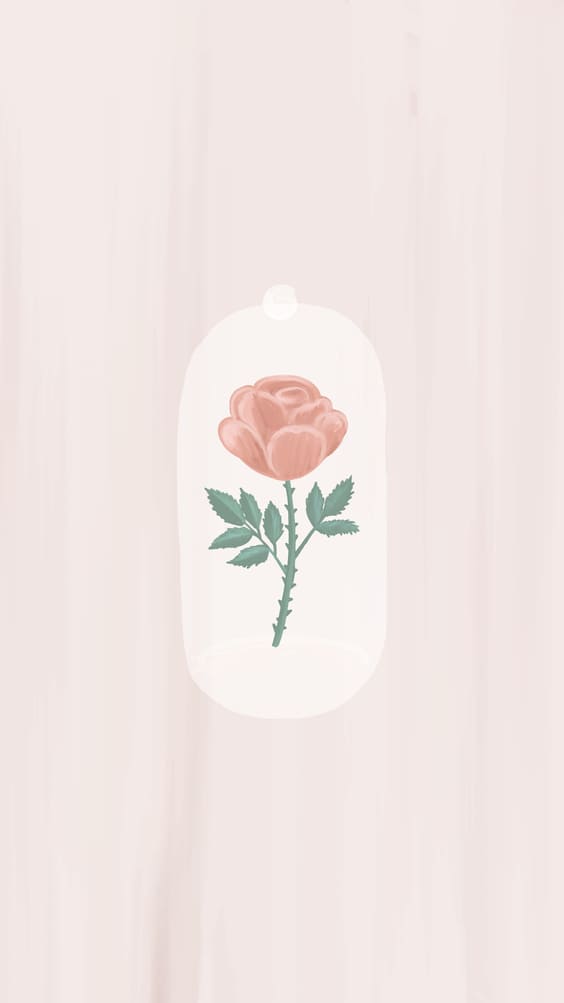 Simple pink rose on soft pink background wallpaper.