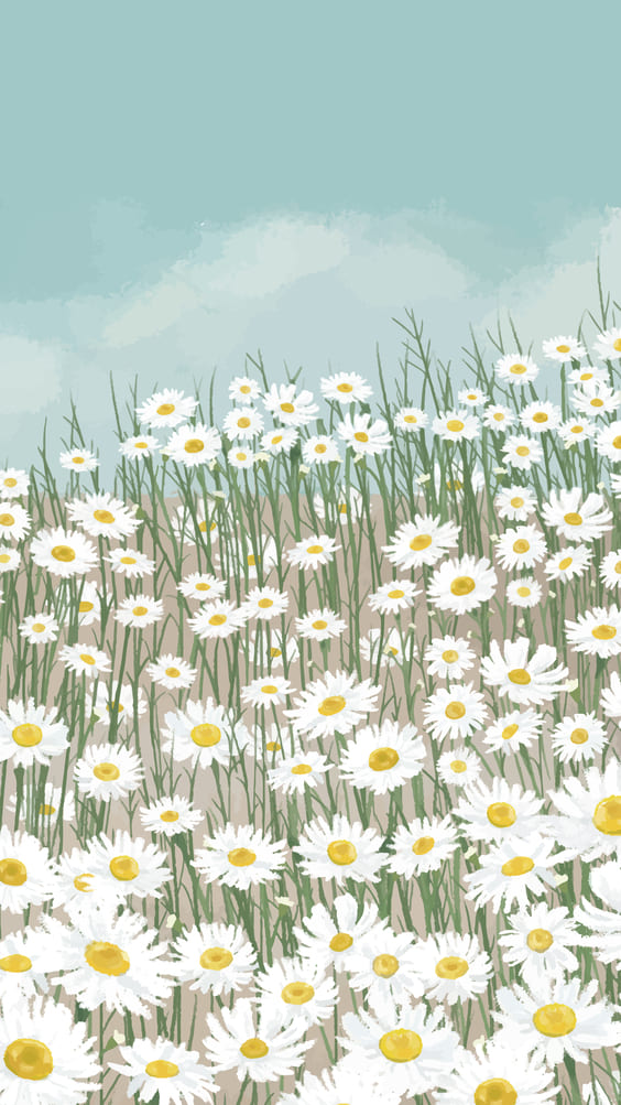 Field of white flowers with blue sky artwork wallpaper