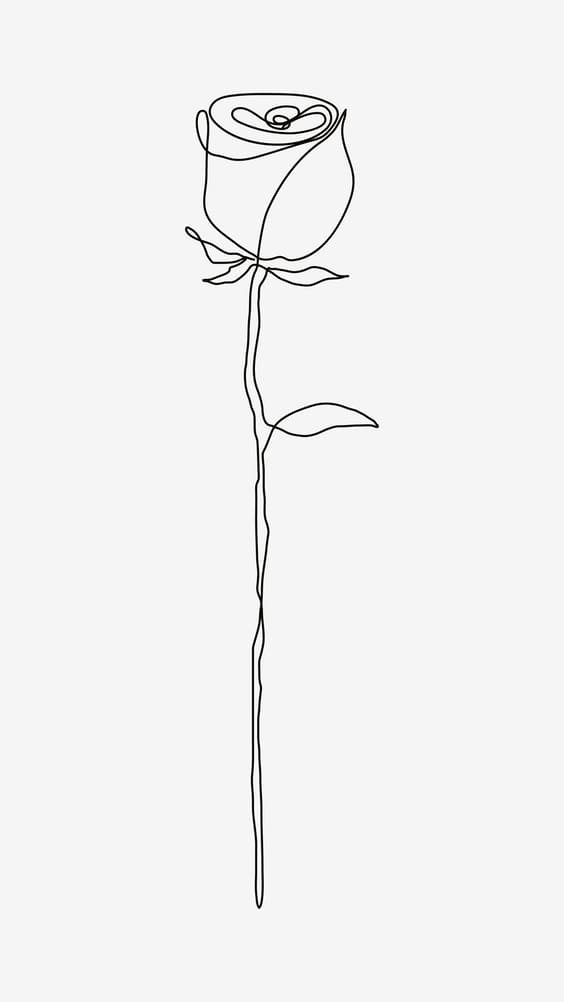 Simple sketch of a rose on white background wallpaper.