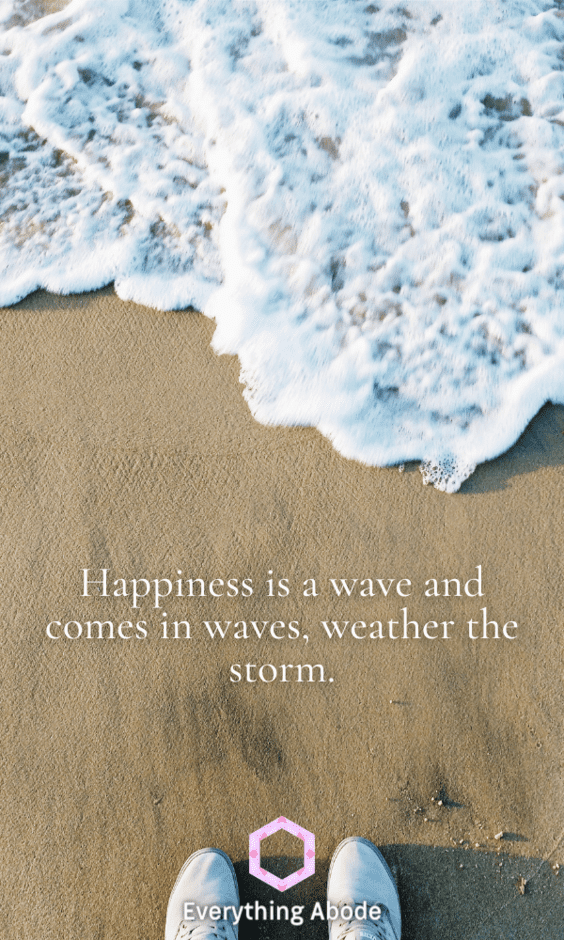 Happiness is a wave and comes in waves, weather the storm.