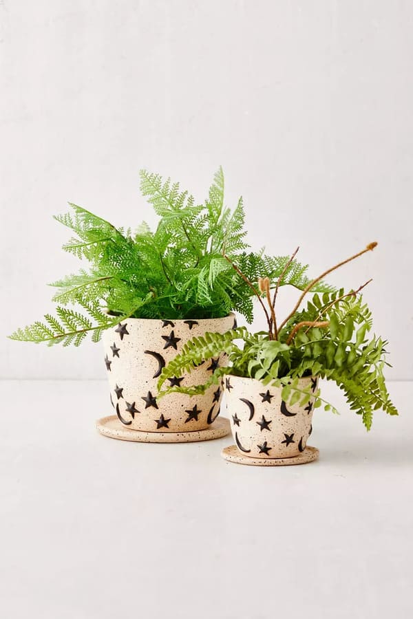 Estrella Planter And Tray, $24.00