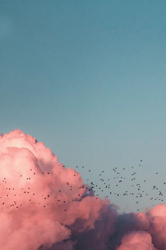 pink clouds and birds wallpaper