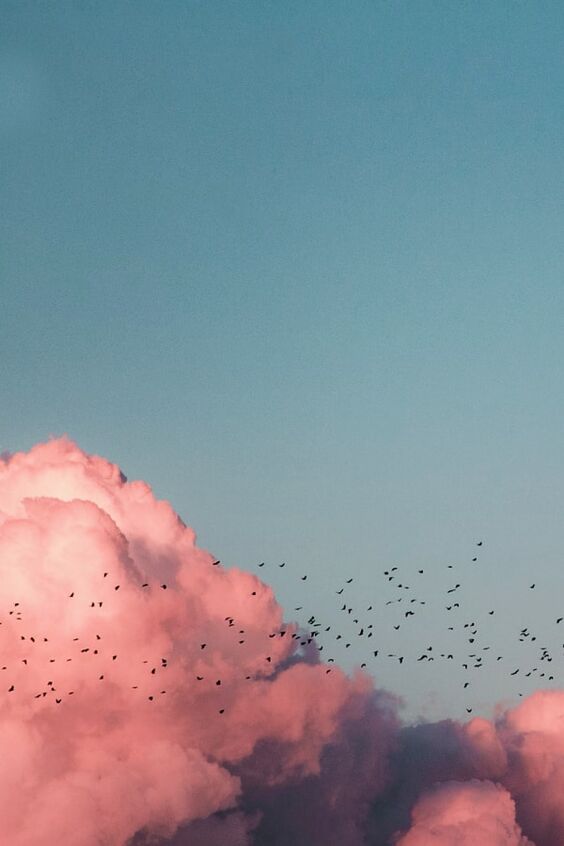 25 Aesthetic Cloud Wallpapers For iPhone Free Download  Pink clouds  wallpaper Cloud wallpaper Preppy wallpaper