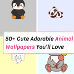 cute animal wallpapers