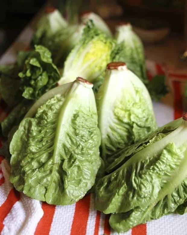 Little Gem Lettuce