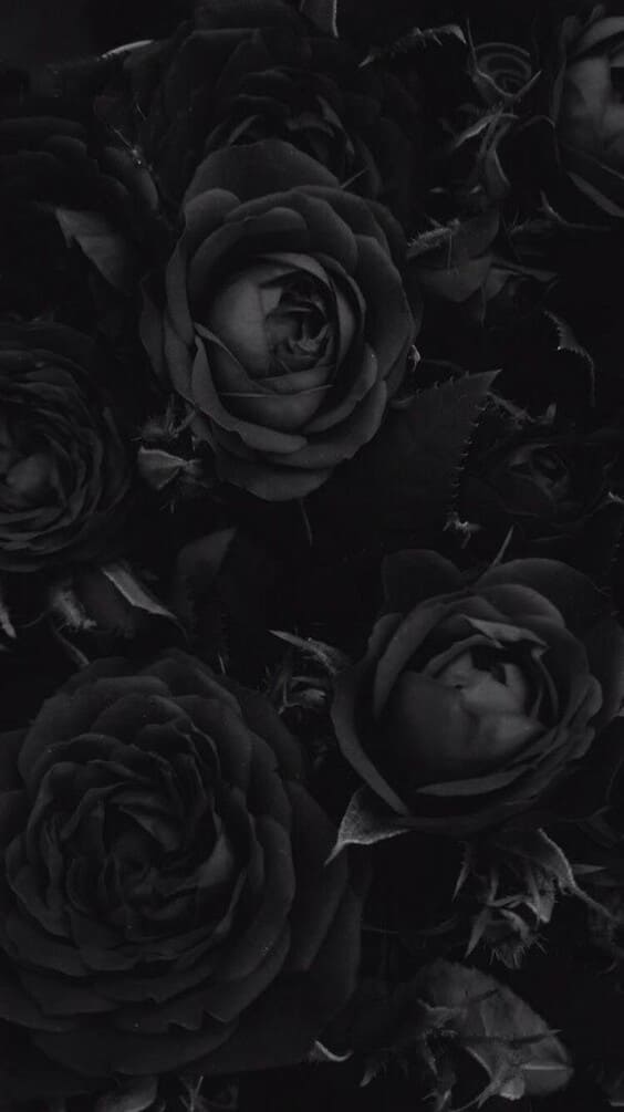 1900+] Black Aesthetic Wallpapers | Wallpapers.com