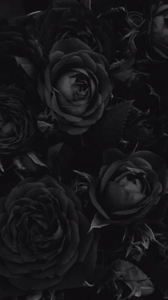 25 Aesthetic Dark Wallpapers For iPhone Free HD Download  Dark wallpaper  Black wallpaper Black background wallpaper