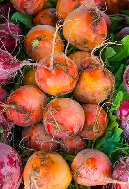 dwarf baby beets miniature vegetable for garden